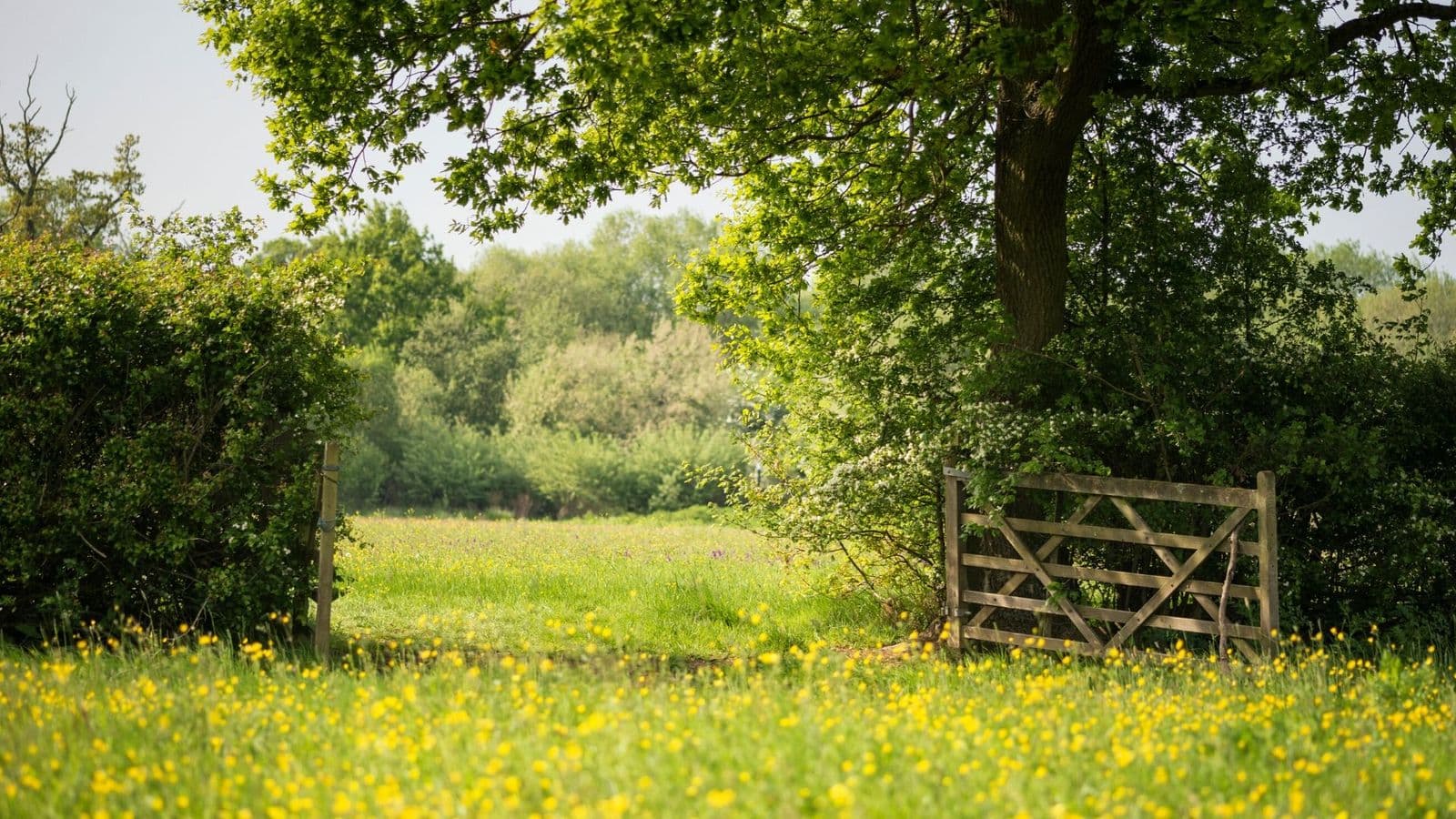 Landowners